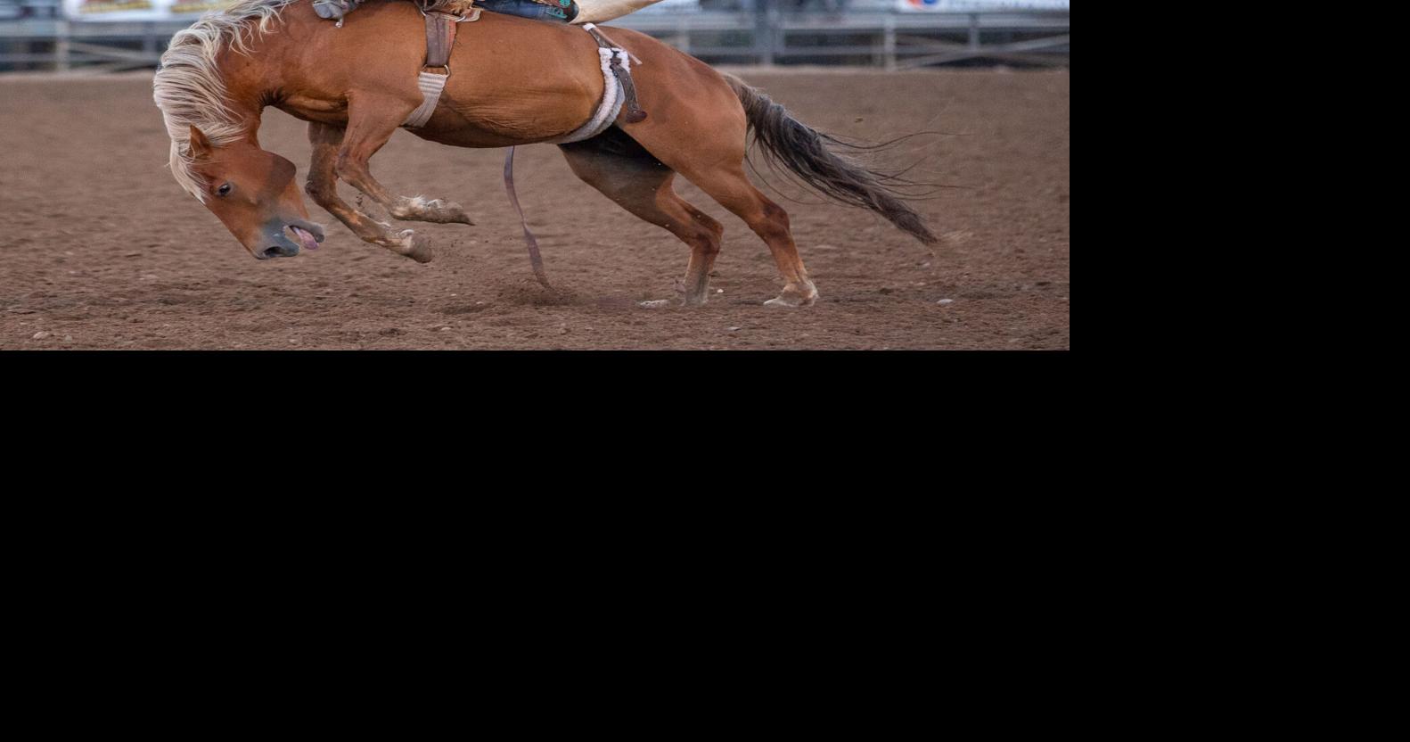 PHOTO GALLERY Cache County Rodeo 2020 Photo Galleries