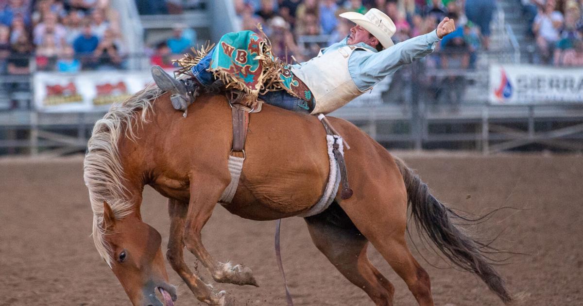 Cache Rodeo Jpg Image PHOTO GALLERY: Cache County Rodeo 2020 | Photo Galleries ...