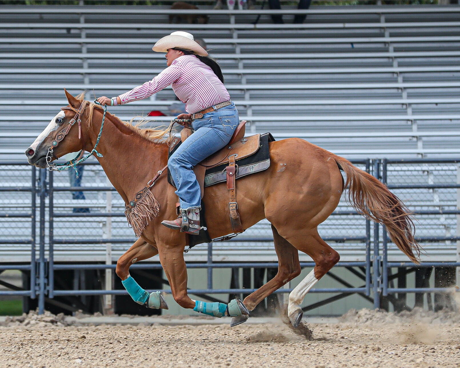 GALLERY: Logan Pioneer Day Jr. Rodeo 2025 | Multimedia ...