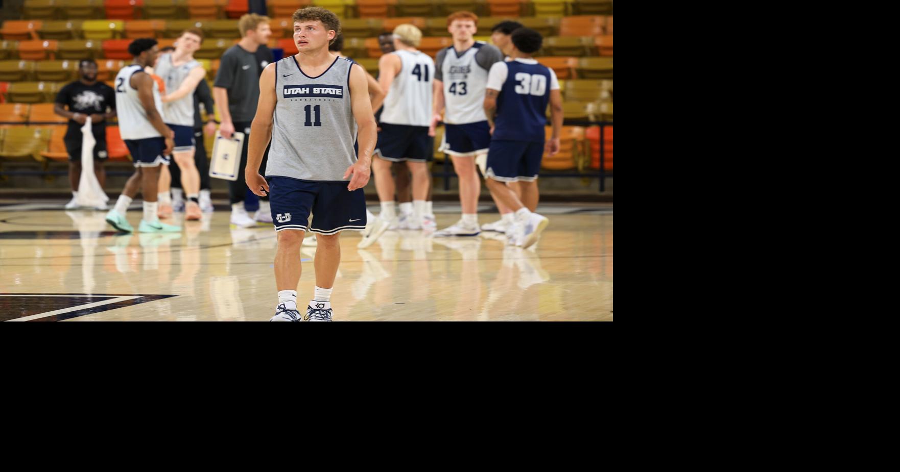 Breakdown of Utah State's basketball roster, projected depth chart after adding Dallin Hall