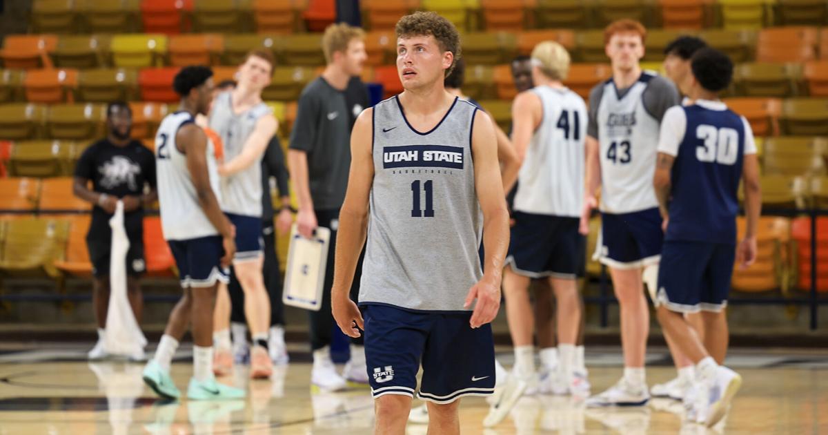 Breakdown of Utah State's basketball roster, projected depth chart after adding Dallin Hall