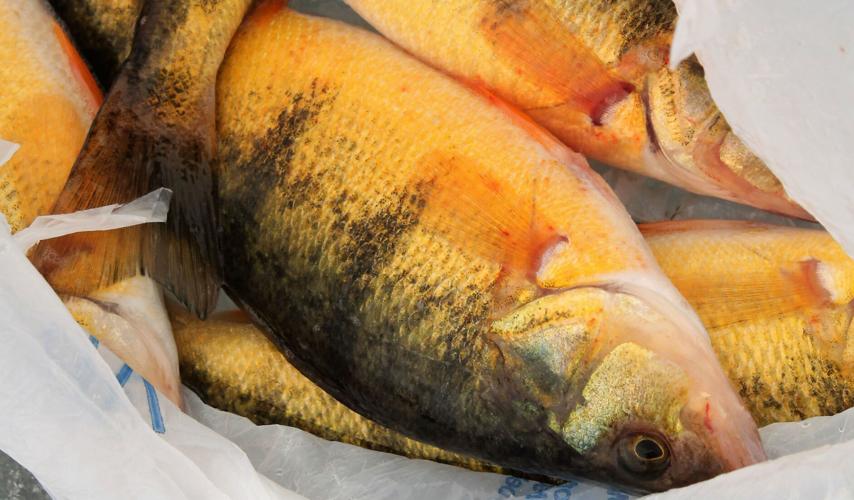 Ice fishing has started on Hyrum Reservoir Local News