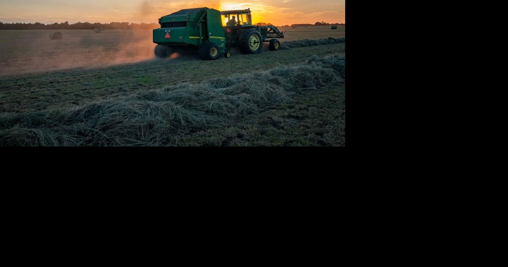 Idaho suspends dyed diesel inspections for 30 days during harvest
