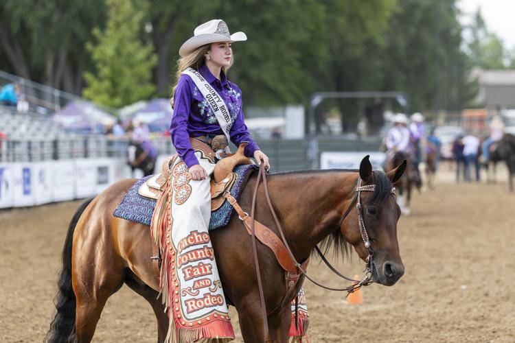 GALLERY: Cache County Fair and Rodeo - Aug. 7, 2025 | Multimedia ...
