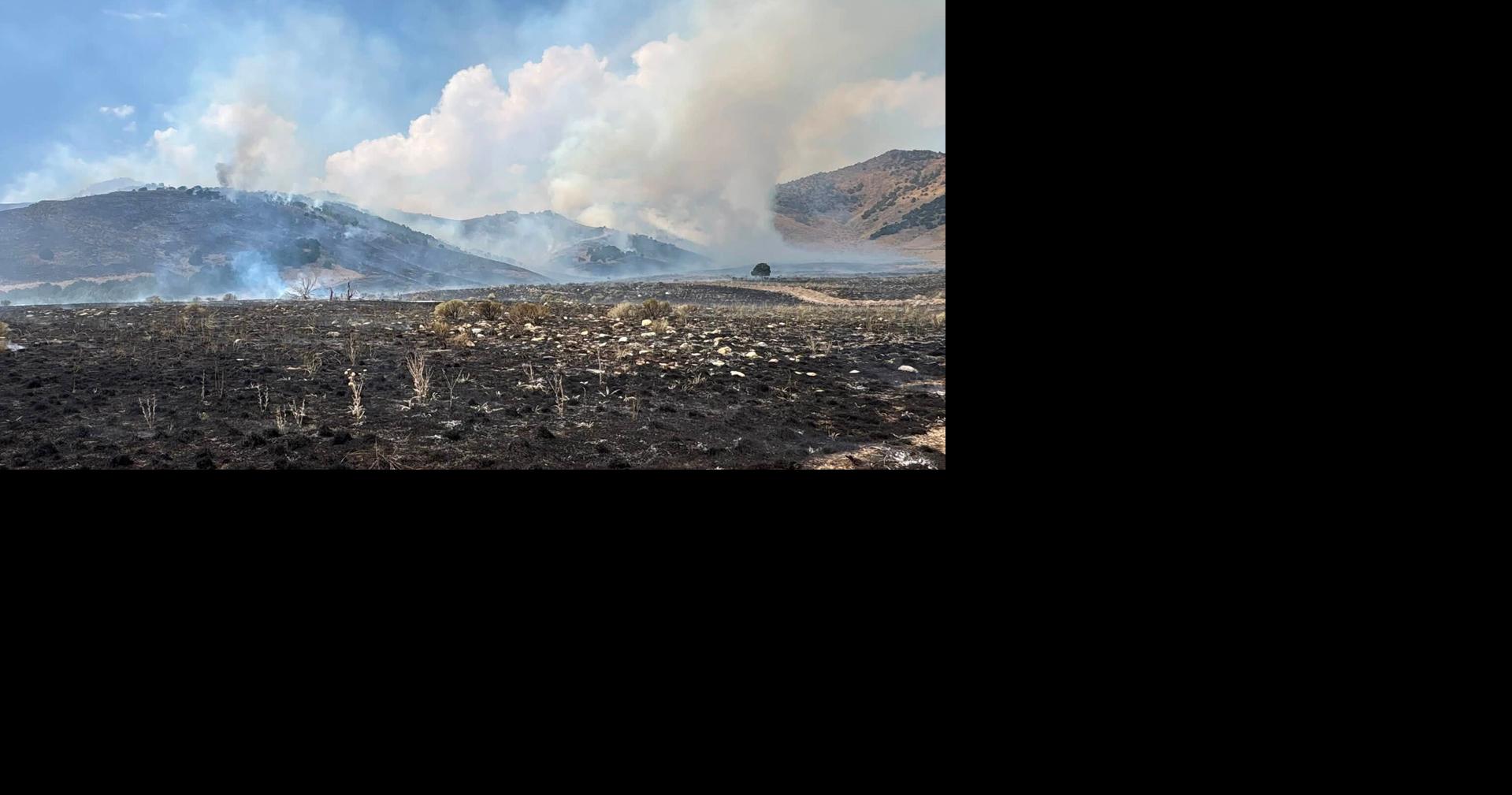 Brushy Canyon Fire surges to 8,000 acres in Box Elder County, remains uncontained
