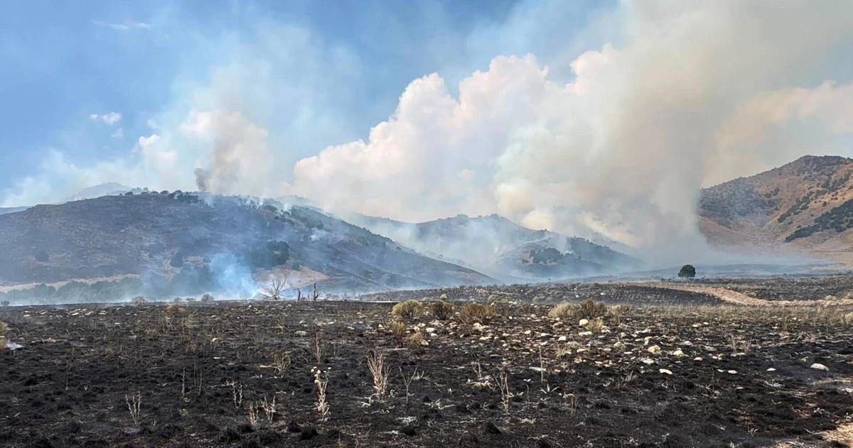 Brushy Canyon Fire surges to 8,000 acres in Box Elder County, remains uncontained