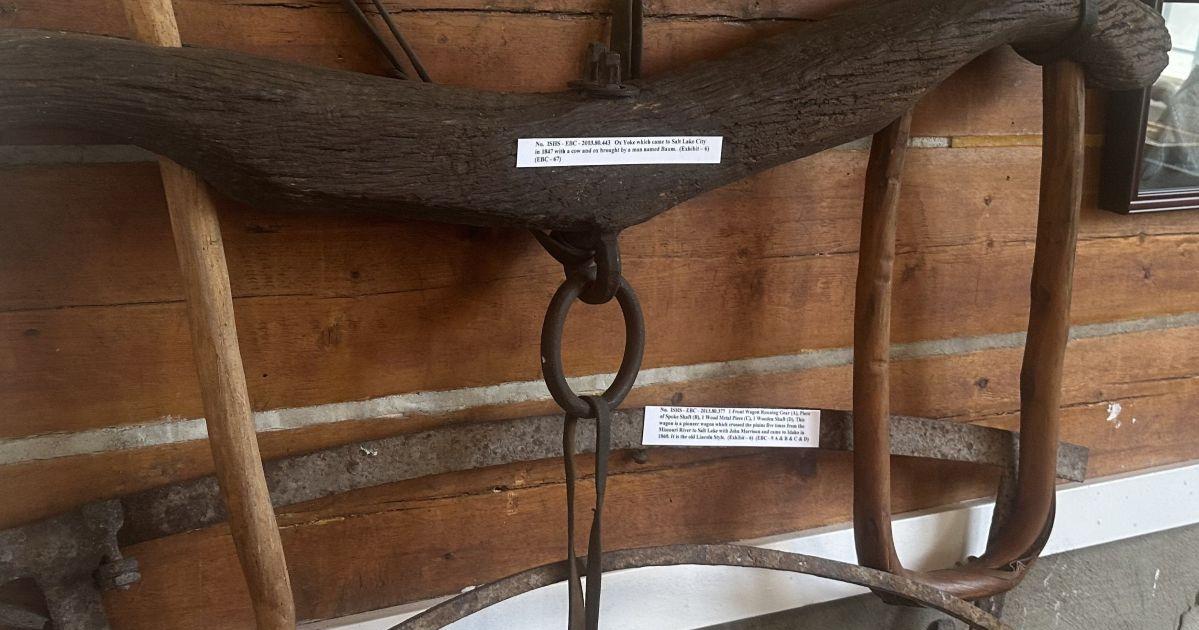 Ox collar