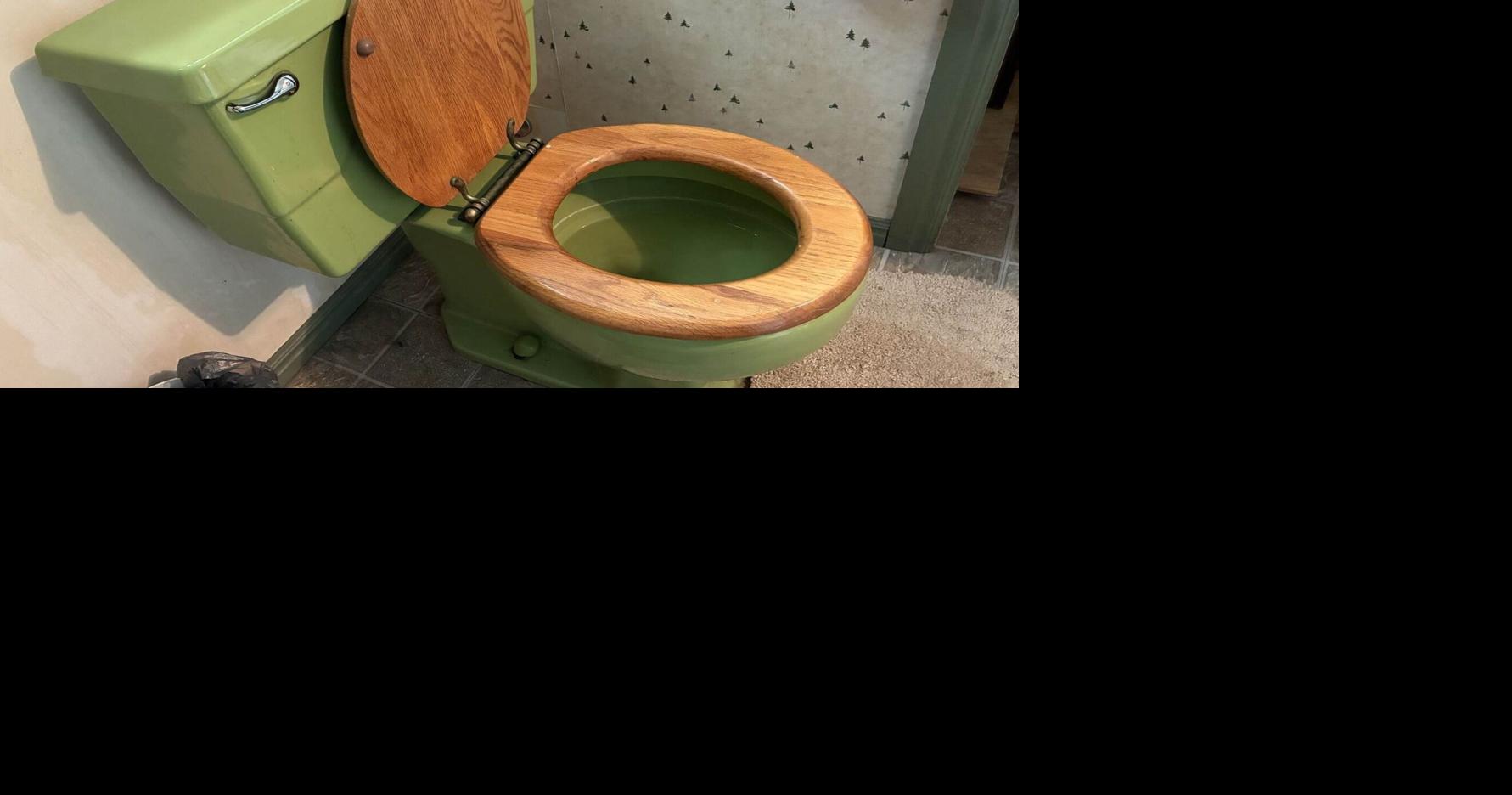 Toilet replacement program to end soon