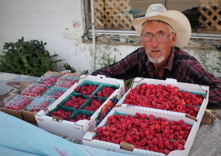 PHOTO GALLERY Raspberry Days 2019 Photo Galleries Cachevalleydaily photo-gallery-raspberry-days-2019-photo-galleries-cachevalleydaily