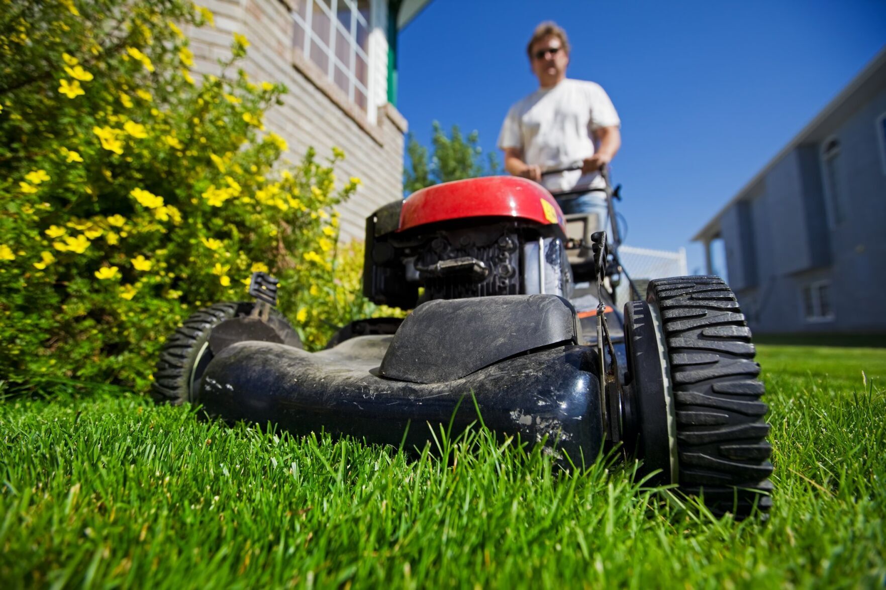 Grasscycle DID YOU KNOW: Peel will no longer be accepting grass clippings at the ...