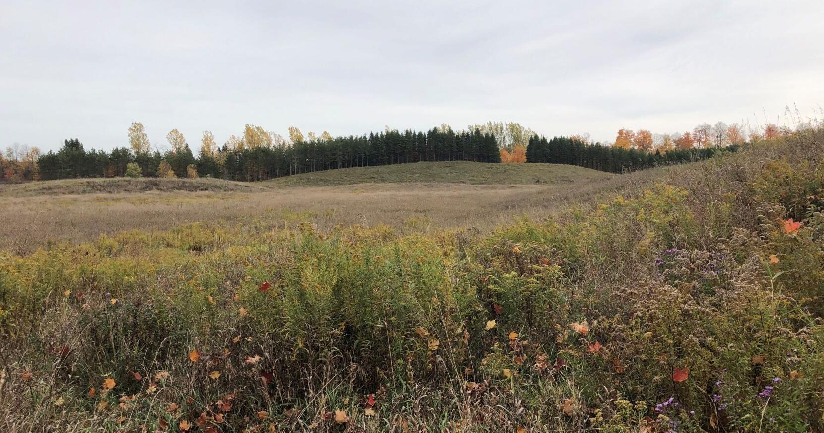 Q&A: Conservation authority converting Caledon pits to parks - Vimarsana News
