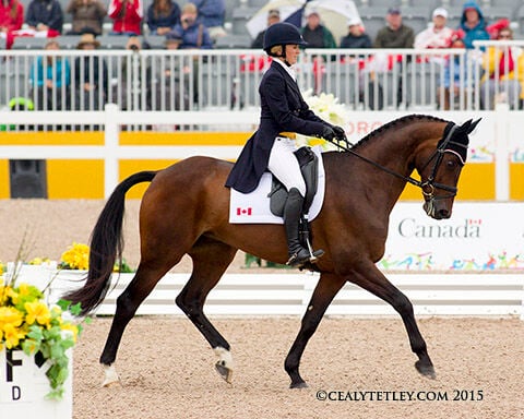 Canadian eventing team sitting close second at Pan Am Games