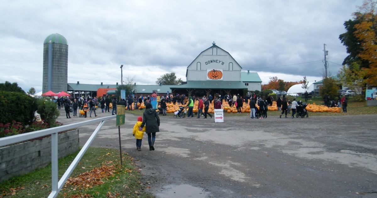 Things to do in Caledon this weekend (Oct. 20-22)