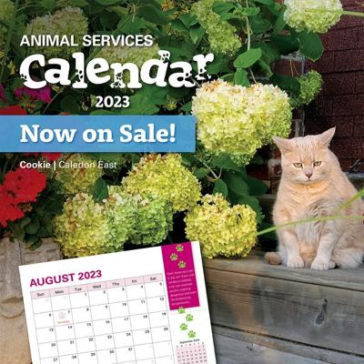 Pet calendar launched by Caledon Animal Services