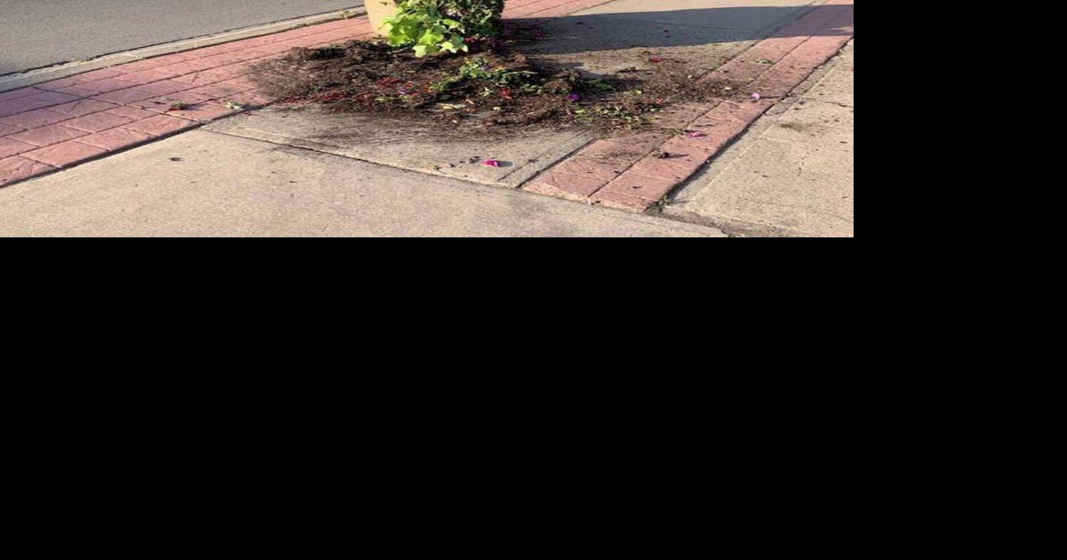 Volunteers 'shocked and upset' at vandalism of planters, flowers in