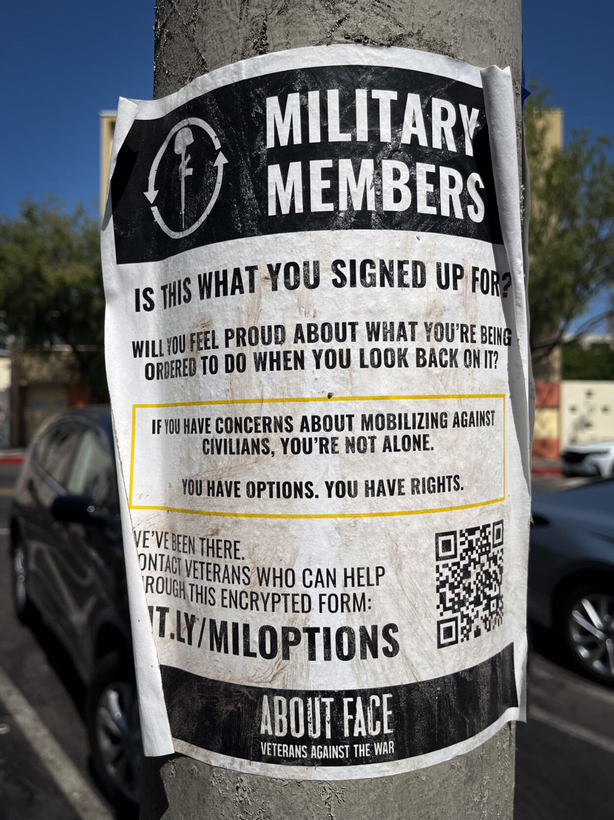 Capital & Main - GEORGE-ICE7-scaled.jpg