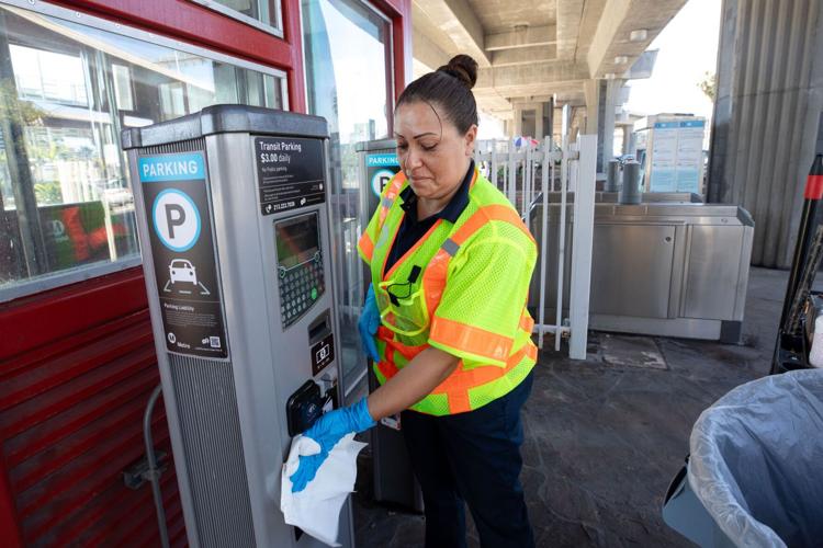 Angelica 3-reduced.jpg