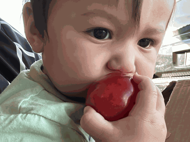 Tolder nutricion 1441×1081