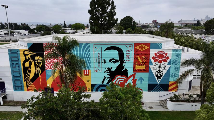 Shepard Fairey.jpg