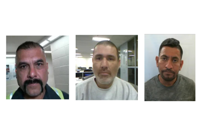 Ice detainees