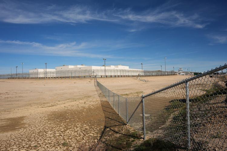 Immigration California Senators
