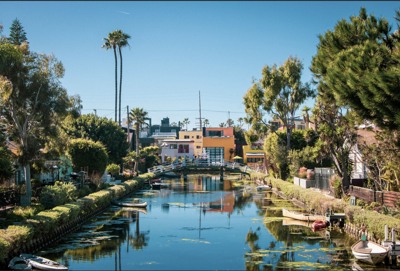venice dell photo 1