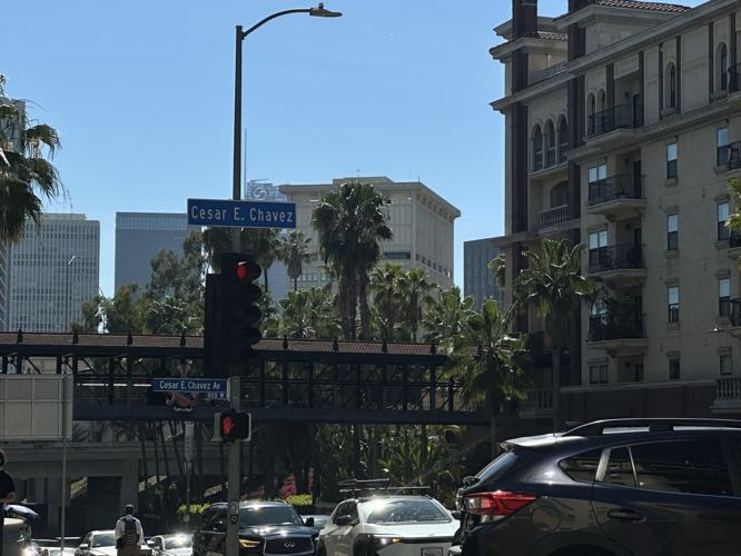cesar chavez avenie