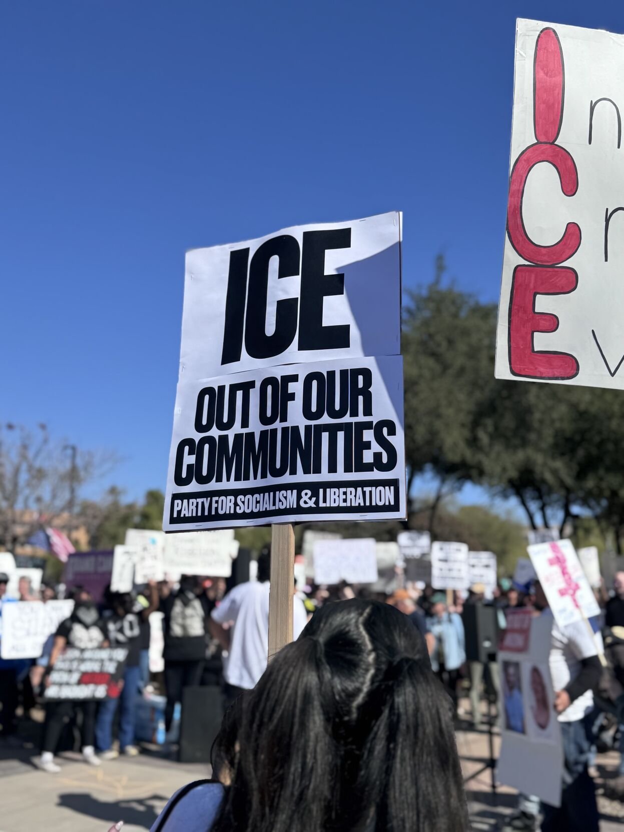 ice out of phoenix