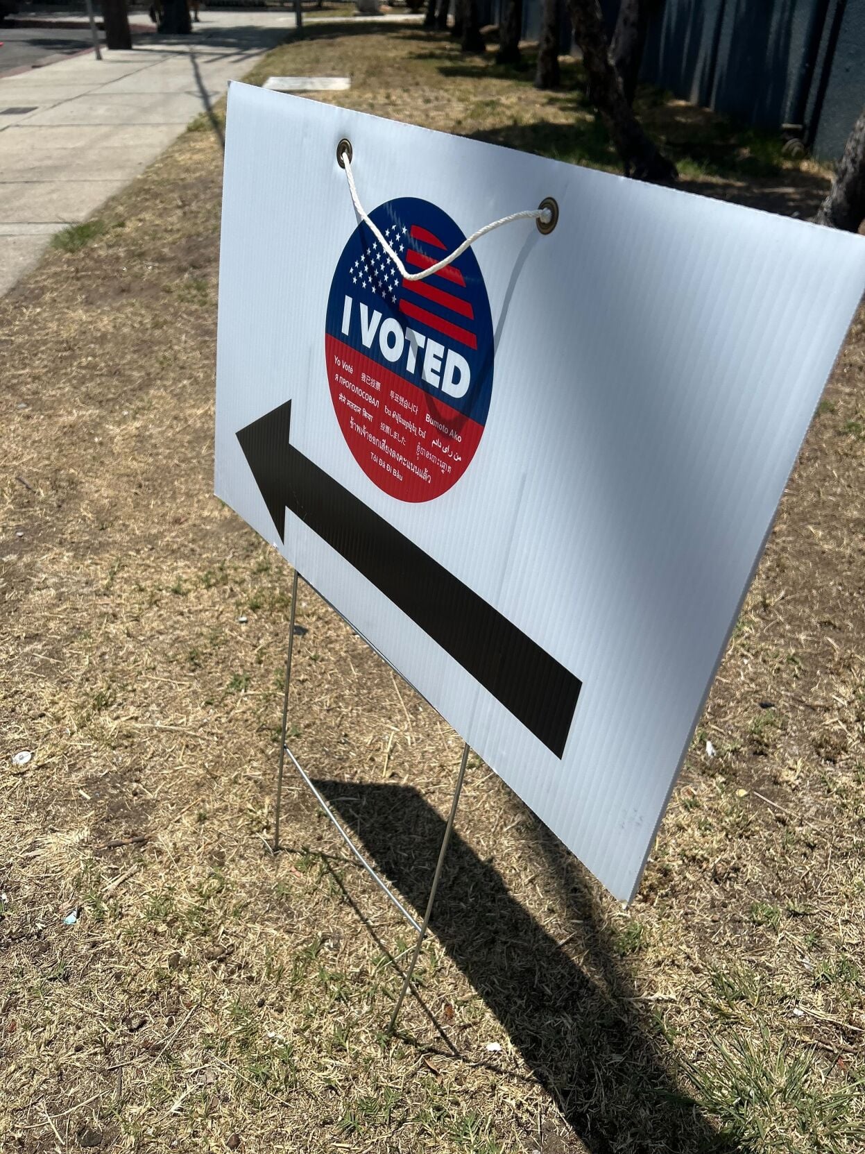 ca primary vote