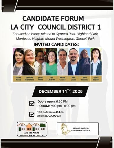 CD1 Flyer
