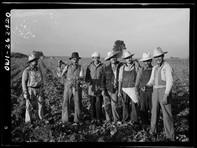 Beetworkers pose in field