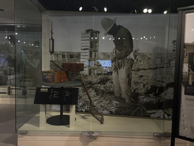 California Muesum