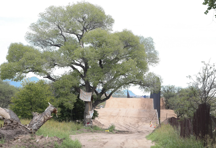 cottonwood border (do not reuse)