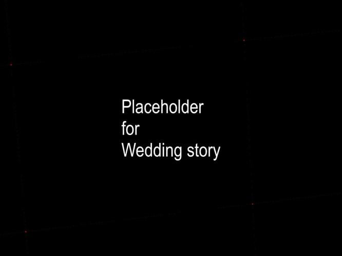 Placeholder Wedding story