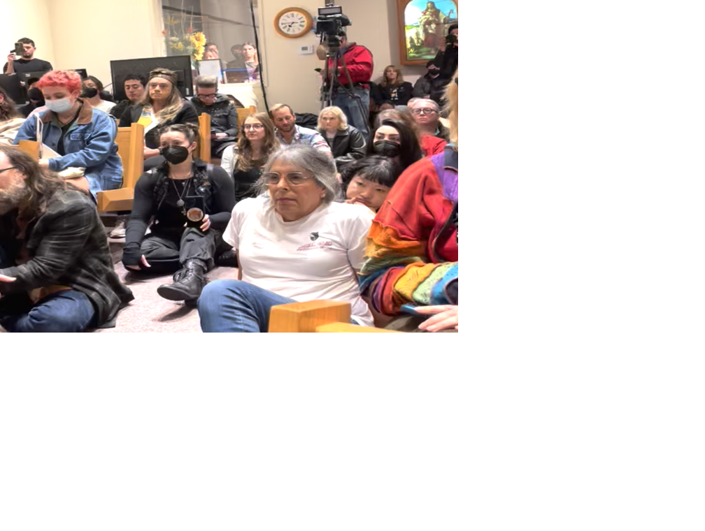 Nex Benedict Vigil attendees