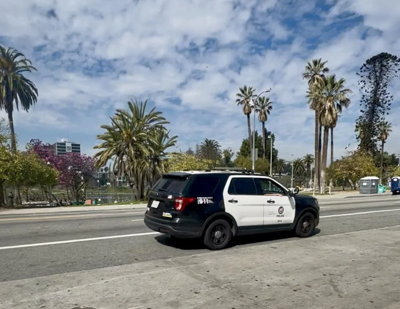 LAPD