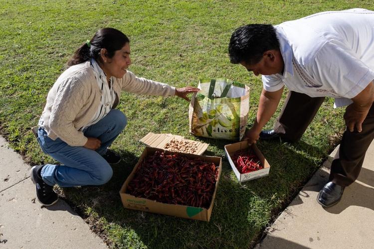 American Community Media - do not reuse - Leopo-17.jpg