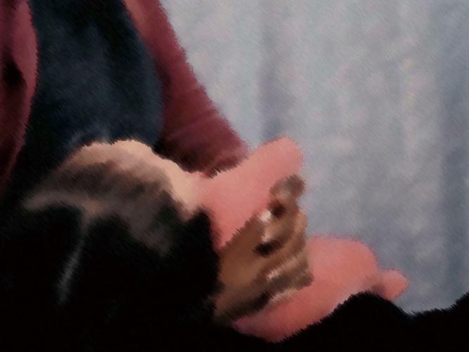 1 - WIC FOLLOW-UP.jpg