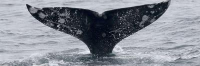 The Conversation - do not reuse