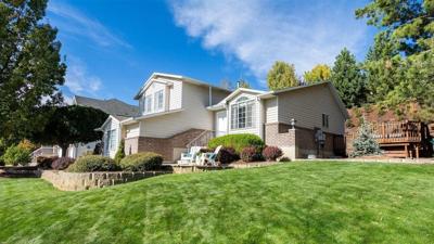 Spring lawn care: Expert tips for the first mow of the season