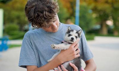 National Parvo Awareness Day: Recognizing and Treating Canine Parvovirus