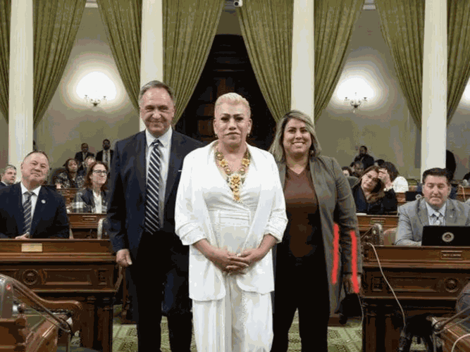 website calo imagenes 1441×1081 (8)