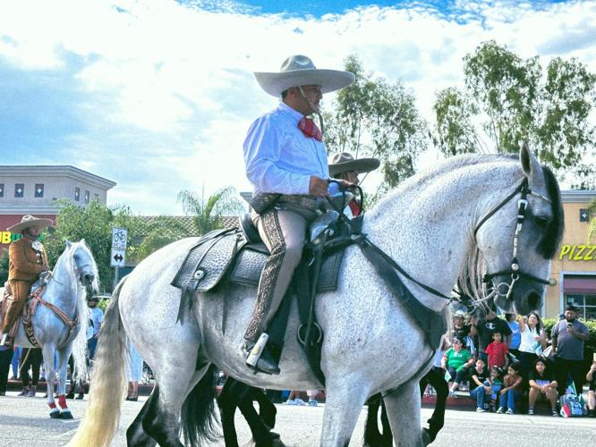 Mexican day in East Los Angeles - horse