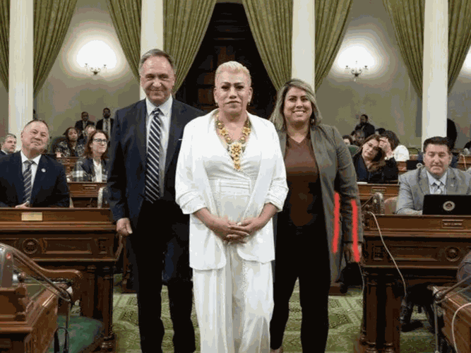 website calo imagenes 1441×1081 (11)