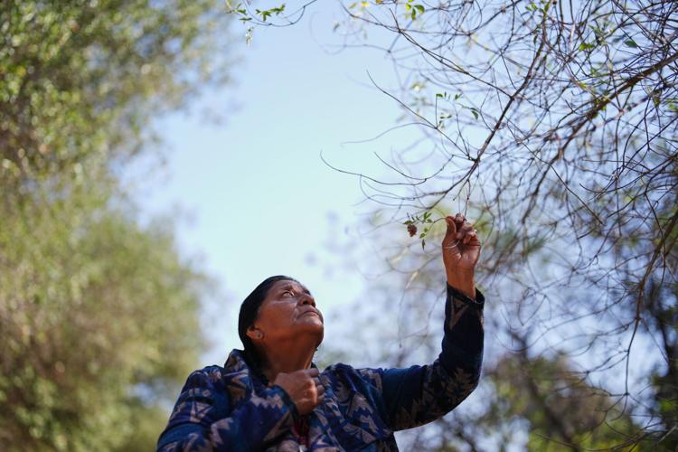 Immigration Border Wall Sacred Sites