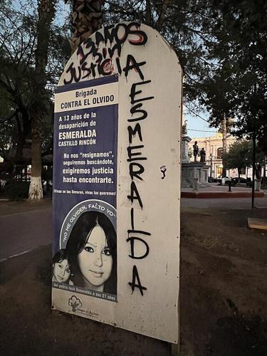 Esmeralda_Feminicidio.jpeg (copy)