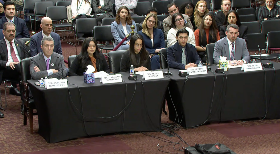 DHS oversight committee