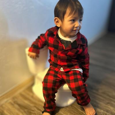 Potty trainning photo 1