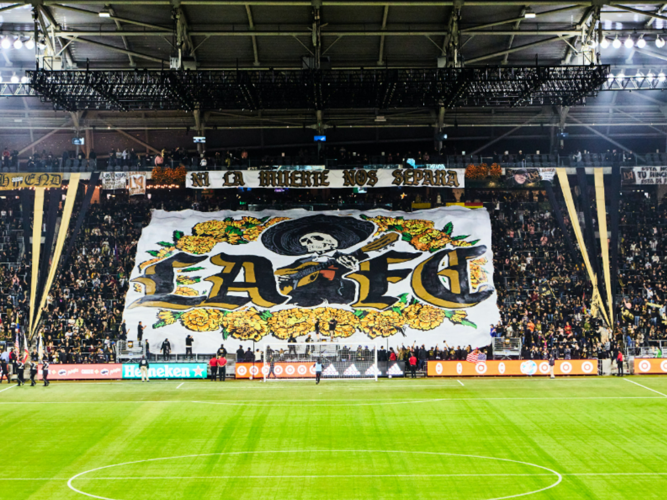 website calo imagenes 1441×1081 (16)