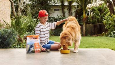 Beyond the bowl: Responsible sourcing matters for pets and the planet